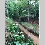 Et Detente Au Coeur De La Foret Des Landes - 3 Etoiles Luglon
