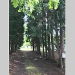 Et Detente Au Coeur De La Foret Des Landes - 3 Etoiles *