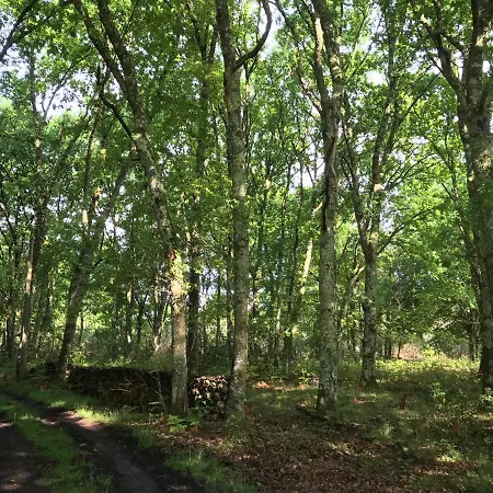 Hébergement de vacances Et Detente Au Coeur De La Foret Des Landes - 3 Etoiles *