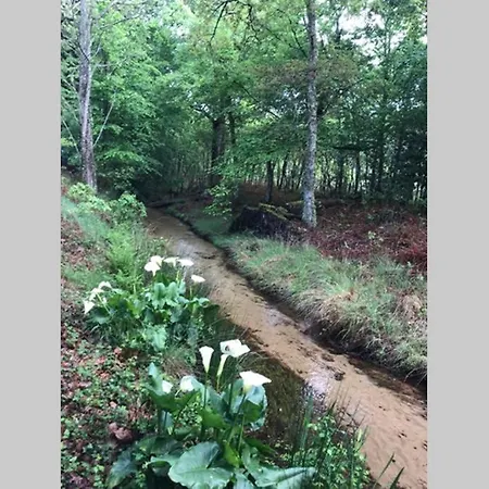 Et Detente Au Coeur De La Foret Des Landes - 3 Etoiles Luglon