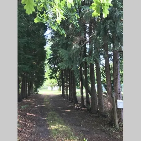 Et Detente Au Coeur De La Foret Des Landes - 3 Etoiles *